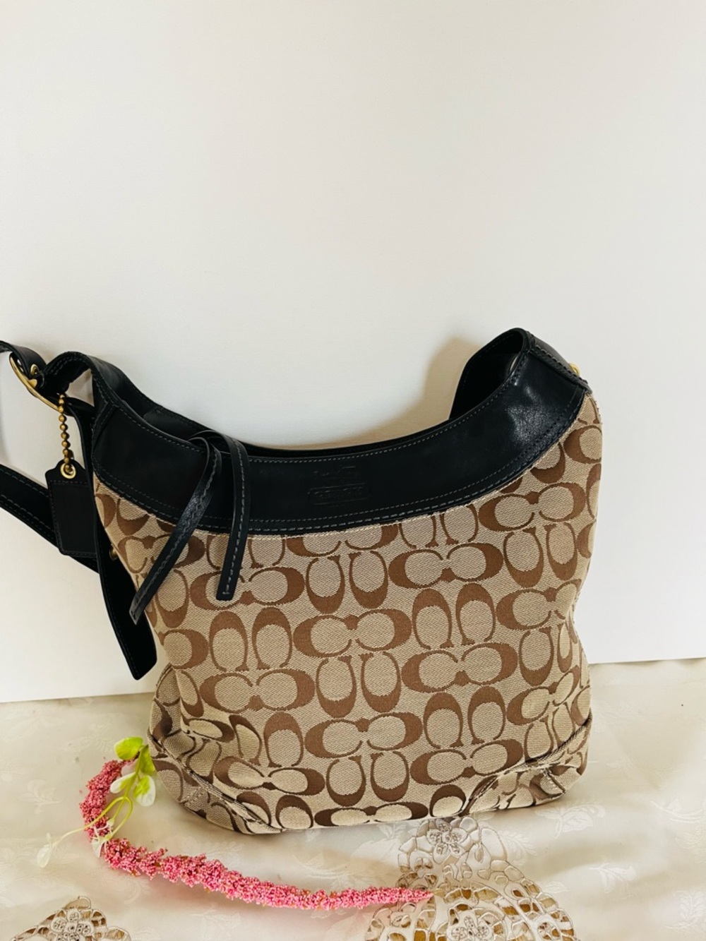 Coach Signature Canvas Shoulder Bag in Brown and Black